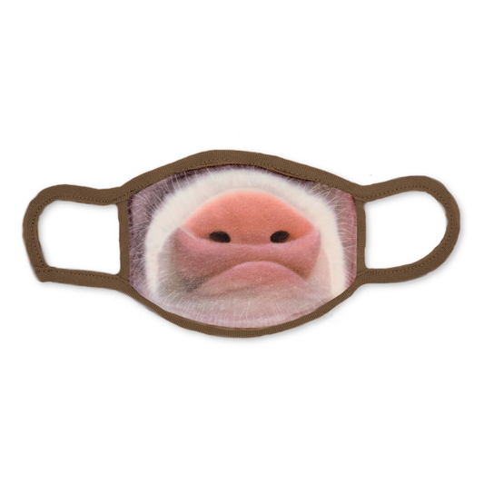 Peevish Pig's Snout Fabric Mask